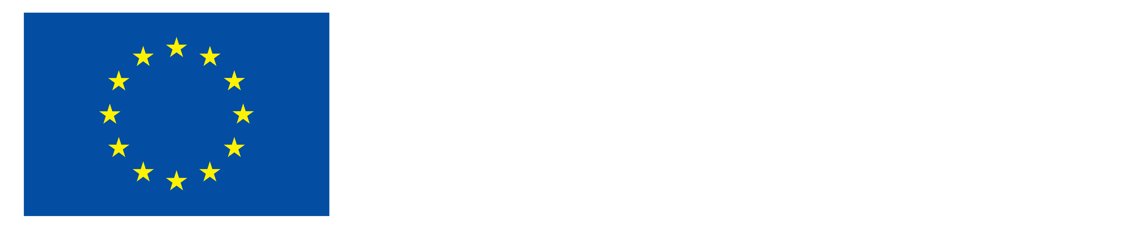 Medfinansieret af Den Europæiske Union